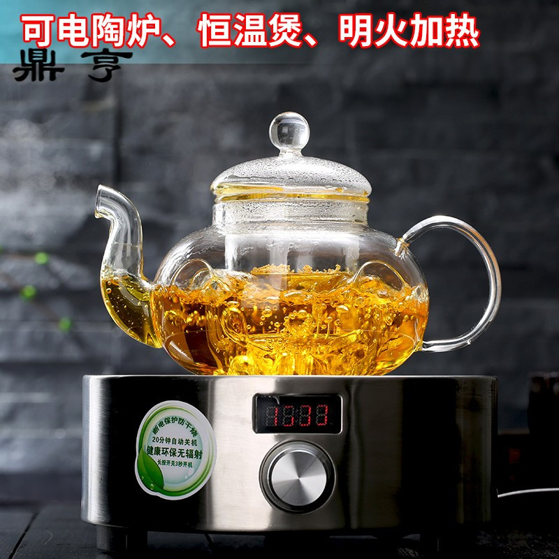鼎亨玻璃茶壶 耐高温水果茶壶花茶杯家用茶具套装透明功夫茶具泡