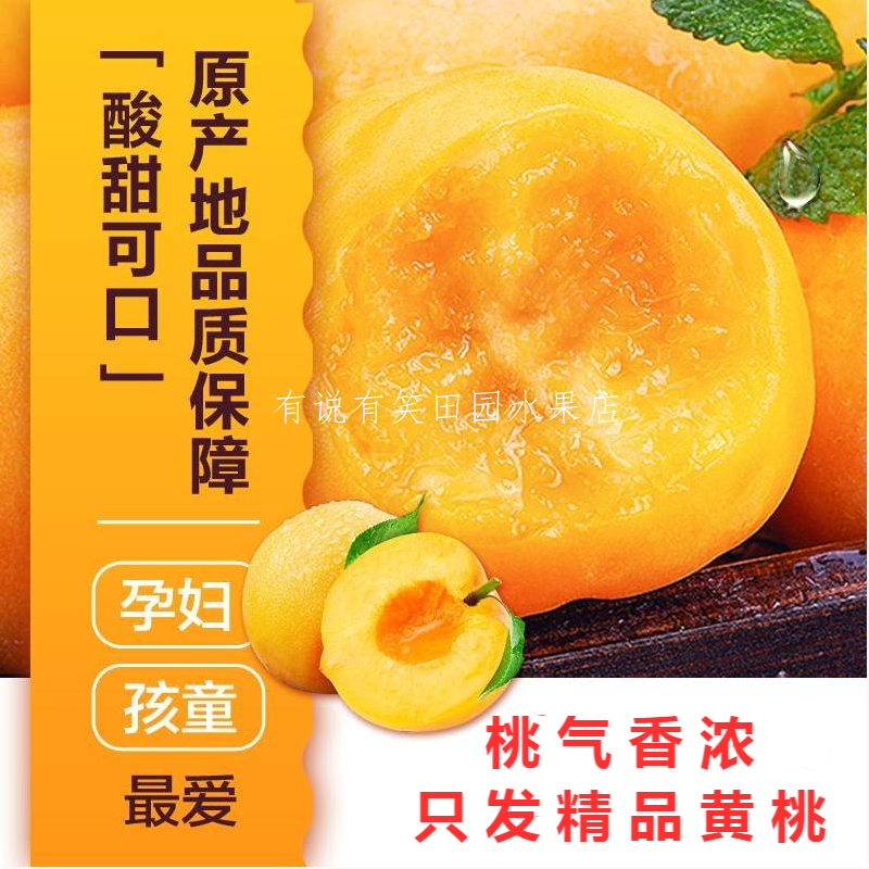 净重砀山黄桃老品种黄毛桃当季酸甜多汁桃气香浓采购高清大图