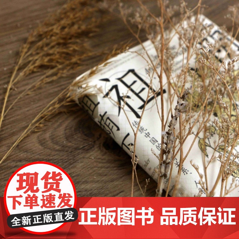 智慧宫024·祖荫下 传统中国的亲属关系、人格和社会流动高清大图