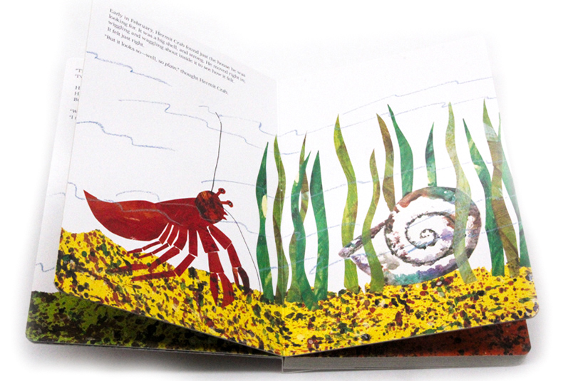 [正版]寄居蟹的家 A House for Hermit Crab 英文原版绘本 卡尔爷爷 艾瑞卡尔Eric Cral高清大图