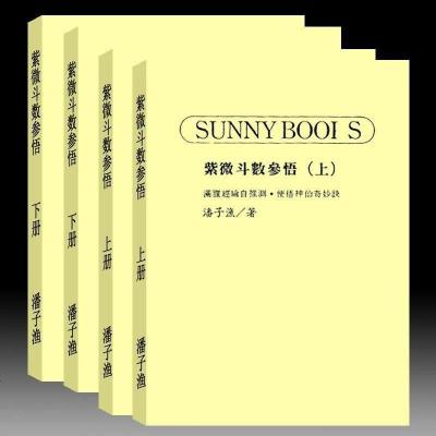 潘子渔-紫微斗数参悟上下册(上册542页 下册543页)
