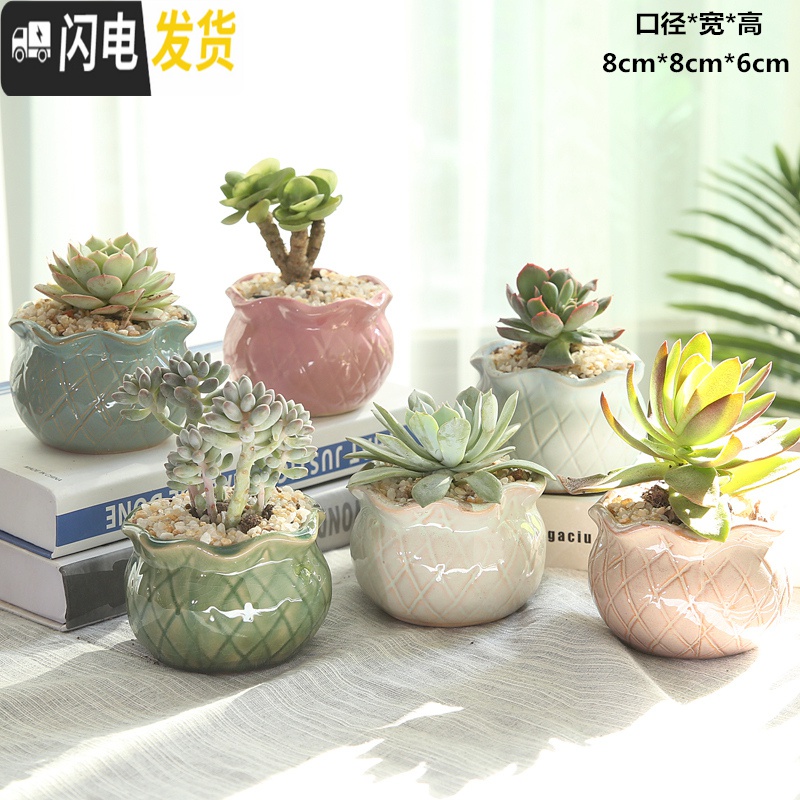 三维工匠多肉花盆陶瓷带托盘粗陶复古素烧紫砂家用创意大小简约 善根两个拼盘 小花盆容器高清大图