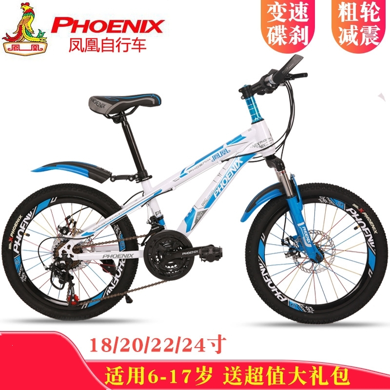 凤凰(PHOENIX) 儿童自行车18_20_22_24寸男孩女孩学生变速山地车双碟刹减震