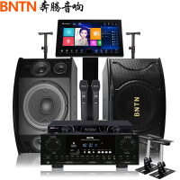 奔腾(BNTN)家庭音响KTV音响全套套装黑色点歌机一体机卡拉OK专业会议音响U段话筒2T语音点歌8200功放配12音箱
