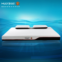 Mlily梦百合慢回弹零压记忆棉床垫护脊家用双人软垫