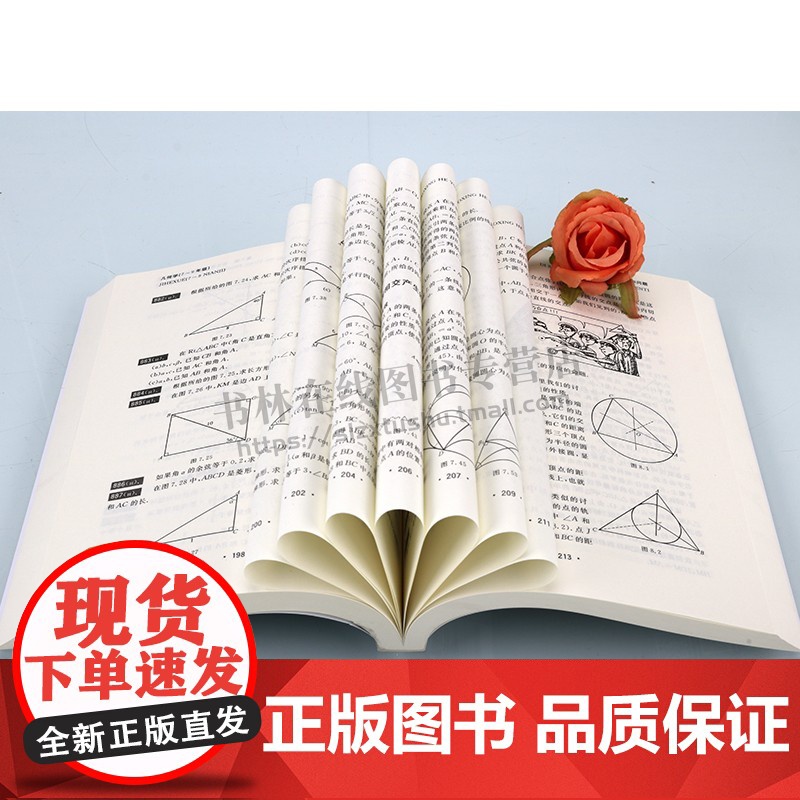 几何学7-9年级(第2版) 俄罗斯7-9年级几何教科书数学教学大纲 大学教材 几何 哈尔滨工业大学出版社高清大图
