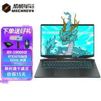 机械革命(MECHREVO)蛟龙7 17.3英寸游戏本笔记本电脑(蛟龙R9-5900HX 16G 512 RTX3070独立显卡 165Hz刷新率 支持独显直连 2K 高色域)标配
