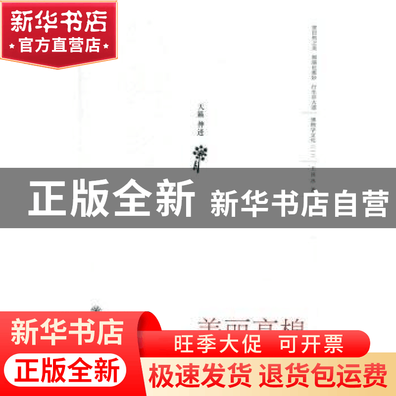 正版 美丽高棉 王其冰著 上海交通大学出版社 9787313164612 书籍图片