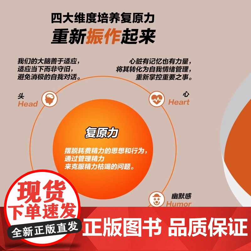 [央视网]从倦怠到突破 艾琳麦克达尔 四大维度创建复原力帮助你走出疲惫重燃生活热情 心灵与修养心灵成功励志书籍 GC高清大图