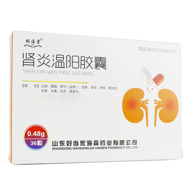 颐海棠 肾炎温阳胶囊 0.48g*36粒/盒