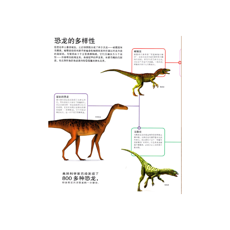 DK科学历史百科全书 [正版]DK恐龙知识大百科 儿童 学校 彩图 版精装图鉴 3至15岁幼儿中小学生恐龙大全恐龙故事立