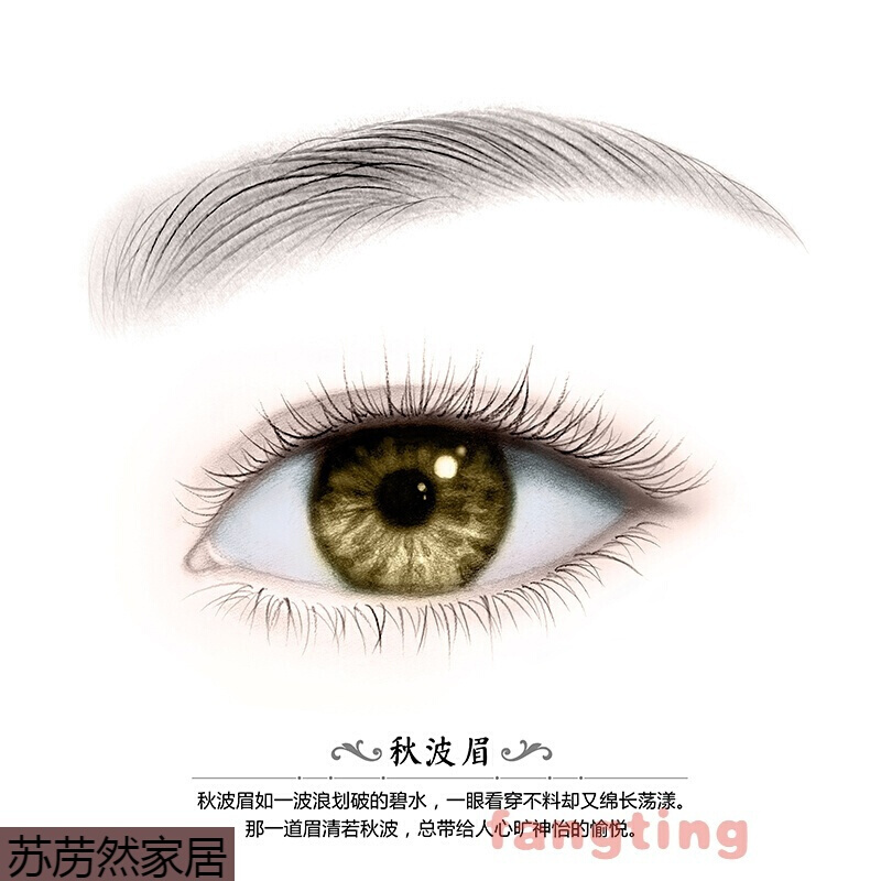 鱼丸装饰用品 礼品17眉眼唇装饰画挂画半海报纹绣照片墙美容院素描眉毛画无框画姜黄色编号29 价格图片品牌报价 苏宁易购苏苈然家居专营店