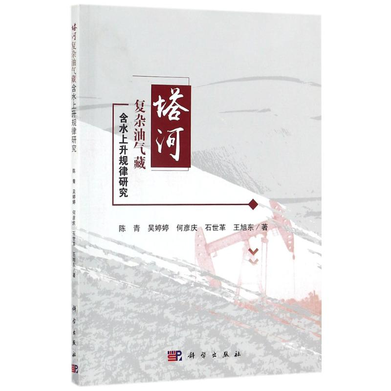 音像塔河复杂油气藏含水上升规律研究陈青 等 著