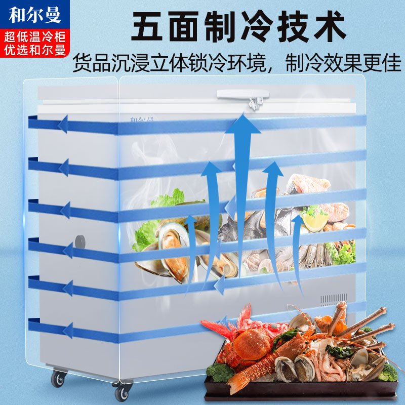 和尔曼 470升零下65度超低温水产冷柜 商用卧式冰柜 -65℃海鲜餐厅日料店金枪鱼商用水产保存箱DW-65W470B