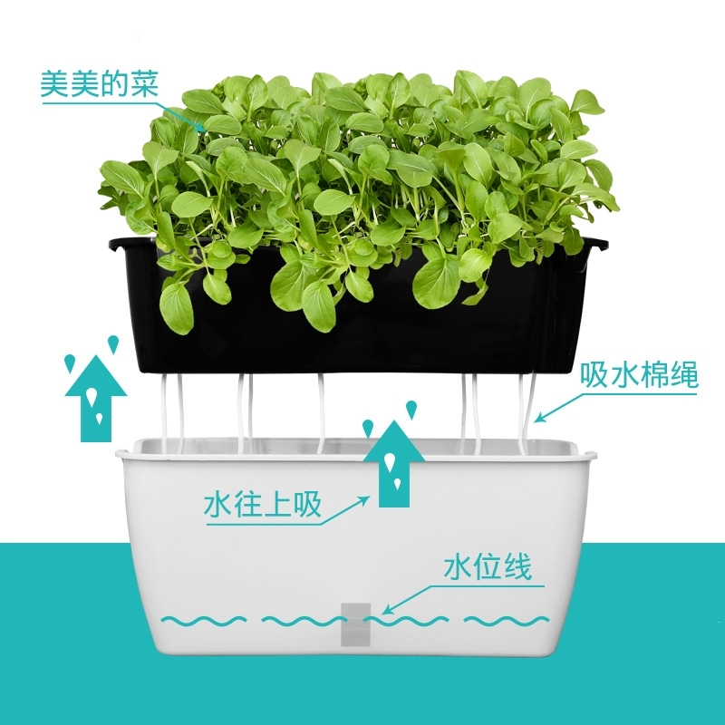 懒人自动吸水种菜盆长方形蔬菜种植箱家庭阳台花槽花盆