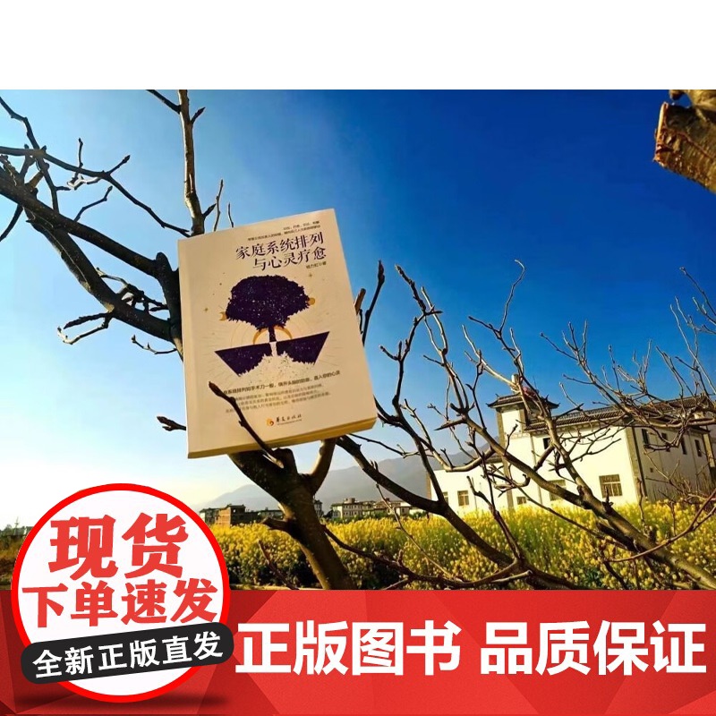 家庭系统排列与心灵疗愈 杨力虹 著 心理学高清大图