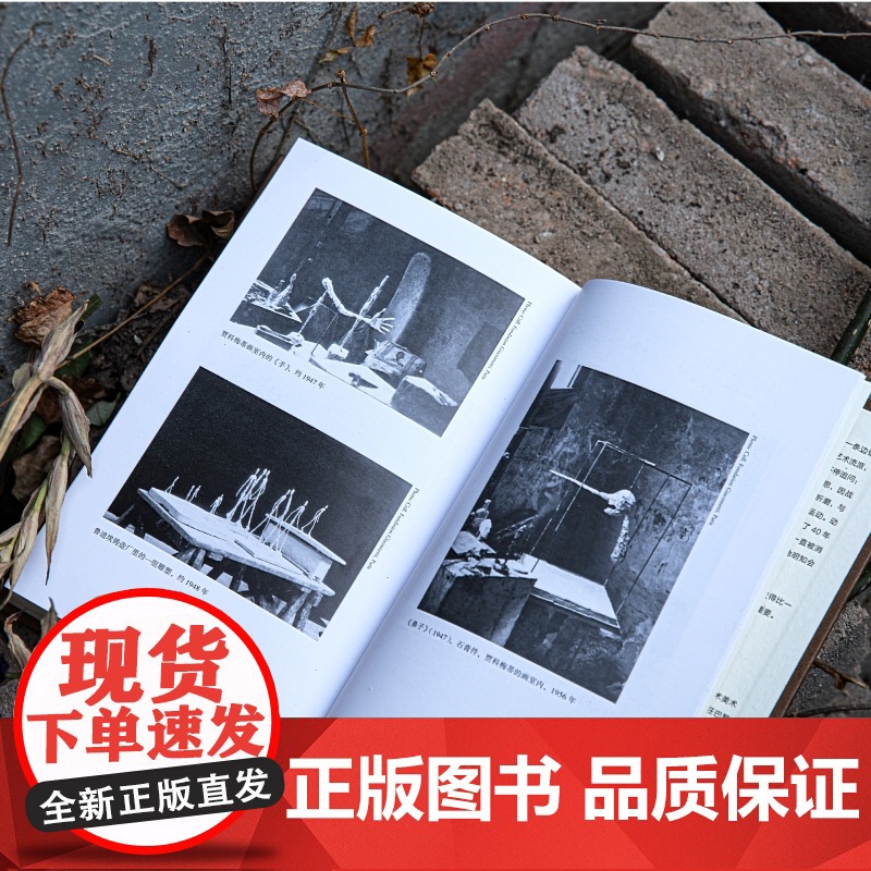 行走的人:贾科梅蒂传 艺术大师凯瑟琳·格雷尼尔著人物传记 艺术雕像 杜尚传 梵高传 艺术家传记 约翰·伯格 理想国图书店高清大图