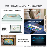 华为(HUAWEI) MatePad Pro 12.2英寸2025 柔光版鸿蒙5 双层OLED柔光屏WIFI 12GB 512GB 砚黑