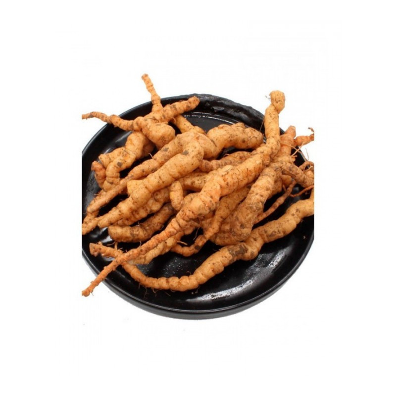 博多客生地黄生地黄精品5斤装正宗鲜地黄怀地黄新鲜生地黄根 价格图片品牌报价 苏宁易购博多客食品专营店