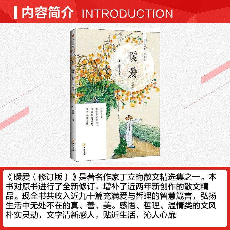 [正版] 暖爱 丁立梅著 丁立梅精品十年作品集散文集作品集系列 初中生语文课外阅读书籍中考阅读写作素材书 金城出版社高清大图