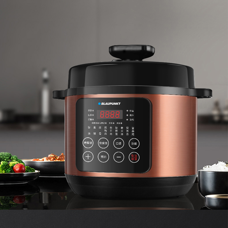 德国蓝宝电压力锅5L双胆LB-21D100A11高清大图