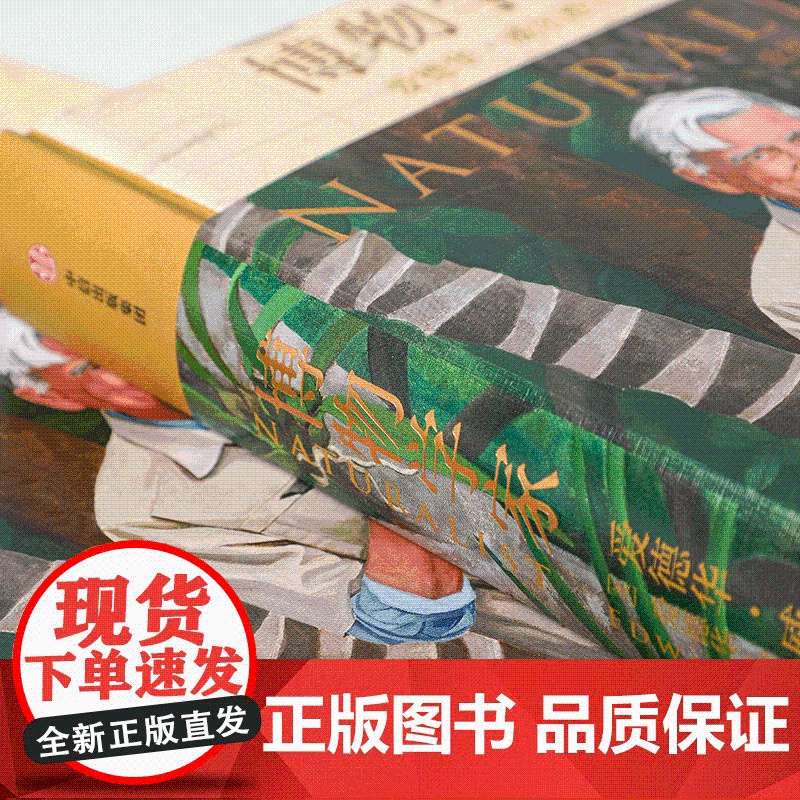 博物学家 爱德华威尔逊自传 张辰亮荐书 生物多样性主题的重要参考读物 中信出版社图书 正版高清大图