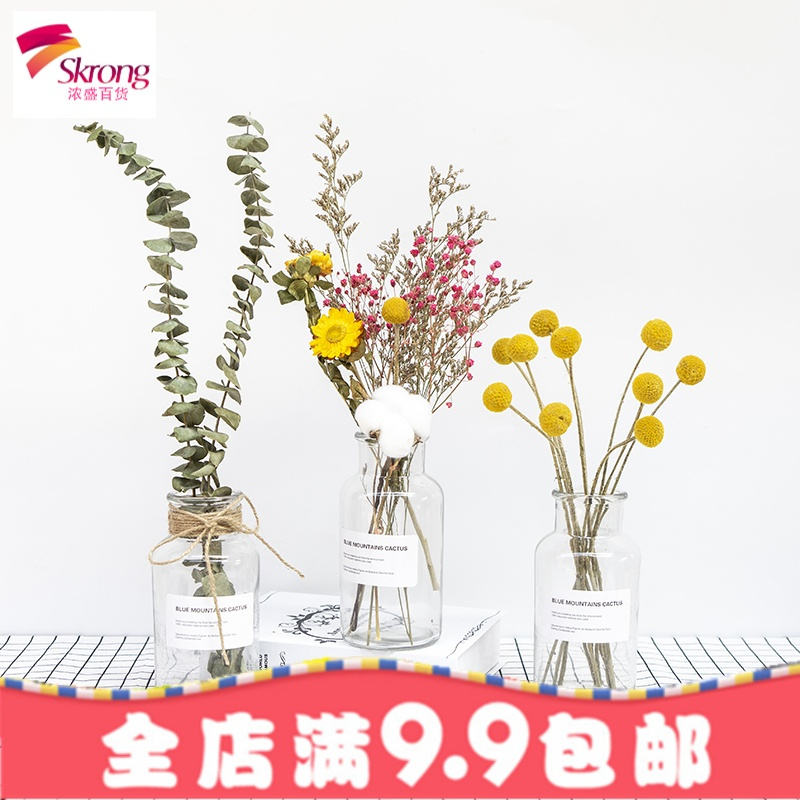 ins风透明玻璃花瓶北欧创意清新欧式简约客厅干花插花摆件玻璃小