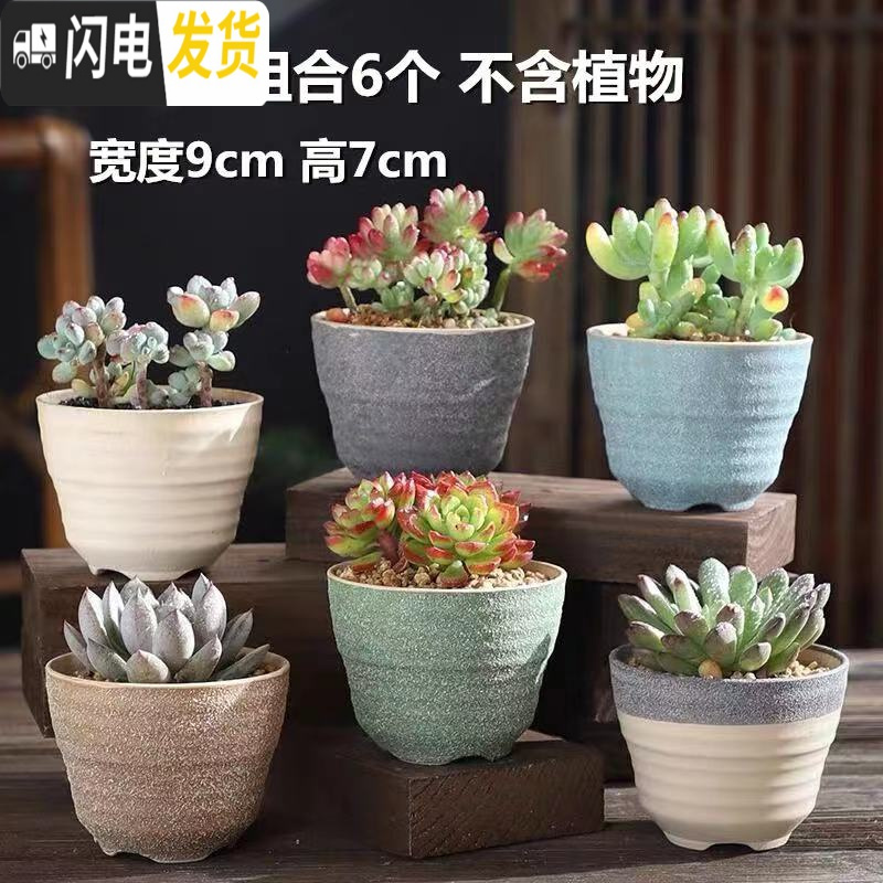 三维工匠多肉花盆陶瓷粗陶透气室内简约肉肉盆栽特大口径花盆 糖糖-HS陶盆组合6个 中等花盆容器