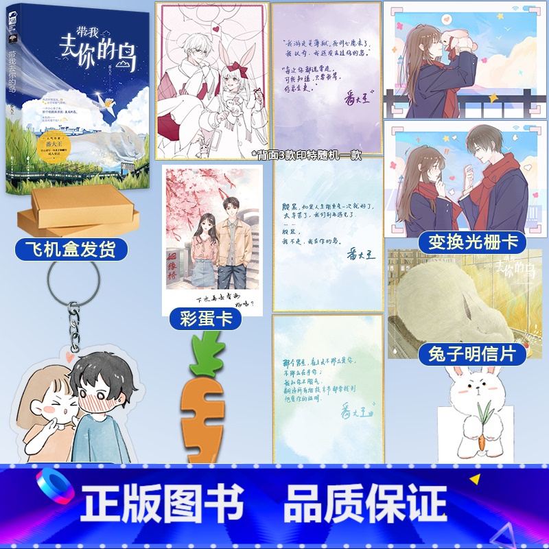 实体书+定制赠品 【正版】 带我去你的岛 番大王 1本完结+番外 青春文学校园爱情甜宠言情小说 去 你 的 岛 天宇图书