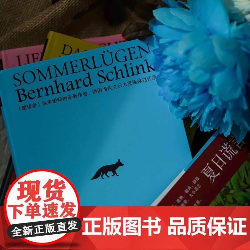 施林克作品系列 [德]伯恩哈德·施林克 著 印芝虹等 译 周末 夏日谎言 爱之逃遁 国际知名的作家系列作品 上海译文出版高清大图