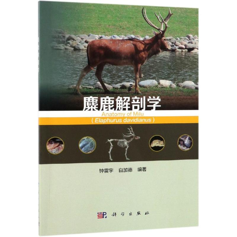 【M】麋鹿解剖学-9787030603609