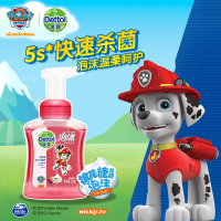 Dettol滴露泡沫抑菌洗手液汪汪队樱桃芬芳250ml*2双瓶装5秒除菌儿童组合装