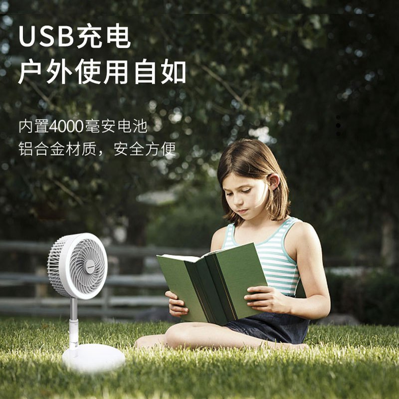 西屋(WESTINGHOUSE)智能升降折叠扇WX-LDZ13A功能型电风扇循环扇内置电池便携