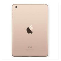 【二手95成新】苹果iPad Air 2 国行（64GB/WiFi版）金色