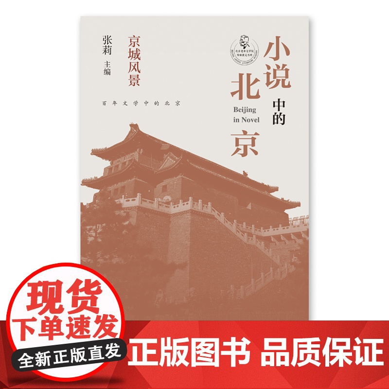 小说中的北京 京城风景(张莉教授主编,北京城的民俗风味与日常腔调,小说中的老北京民俗画卷) 张莉 主编 北京十高清大图