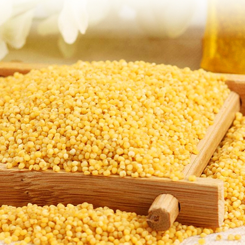 汾都香5斤山西小米实惠装黄小米石磨月子米五谷杂粮小米饭养胃米25kg