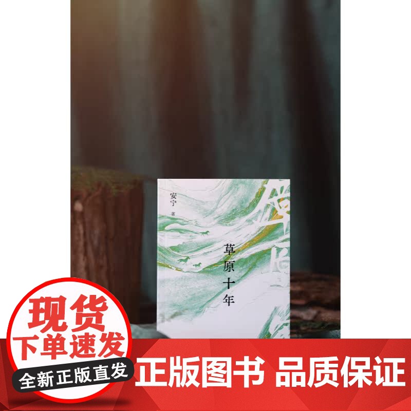 草原十年 安宁长篇散文集上海文艺出版社中国现当代文学呼伦贝尔草原随笔书小说正版图书籍高清大图