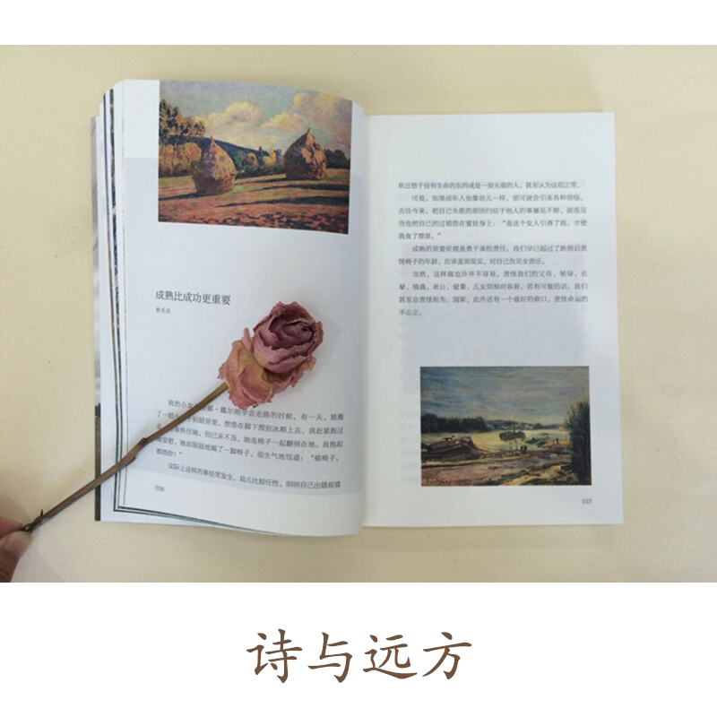 [正版] 诗与远方系列书全9册文学大师名家经典朱自清林徽因爱默生培根胡适林语堂梁实秋诗歌散文生活励志正能量文学随笔高清大图