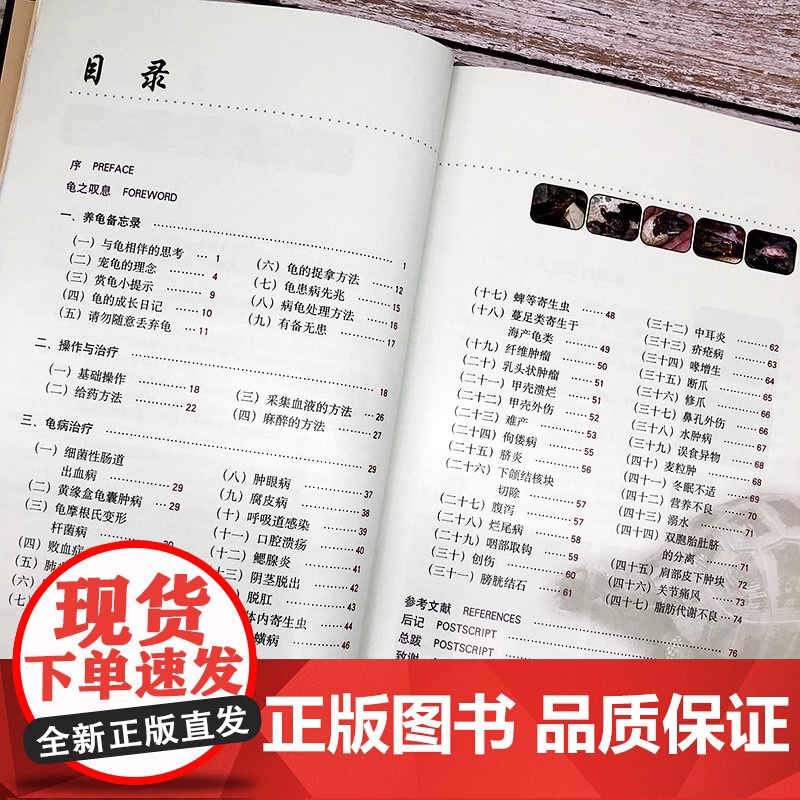 [精装]龟病图说 乌龟养殖技术养龟养好宠物龟手绘图鉴乌龟大全李艺金钱龟安布闭壳龟金钱龟乌龟书籍龟肠胃炎的书乌龟疾病书籍高清大图