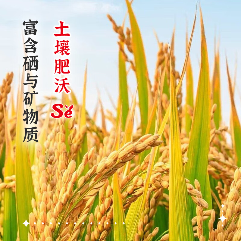 陇间柒月五月富硒大米2.5kg1袋高清大图