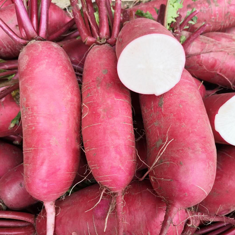 四川农家自种红皮萝卜新鲜红皮白肉水萝卜泡菜胭脂萝卜25kg
