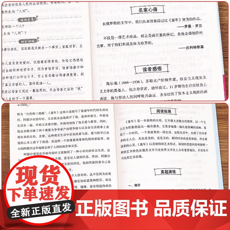 2025暑假四季书香共读五升六 童年苦难与成长爱的教育开学第一天列车开往乞力马扎罗一带一路少年故事少年鼓王勇气的赞歌六年高清大图