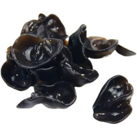 谷本粮农黑木耳干货500g/袋 东北特产秋木耳肉厚无根碗耳新货