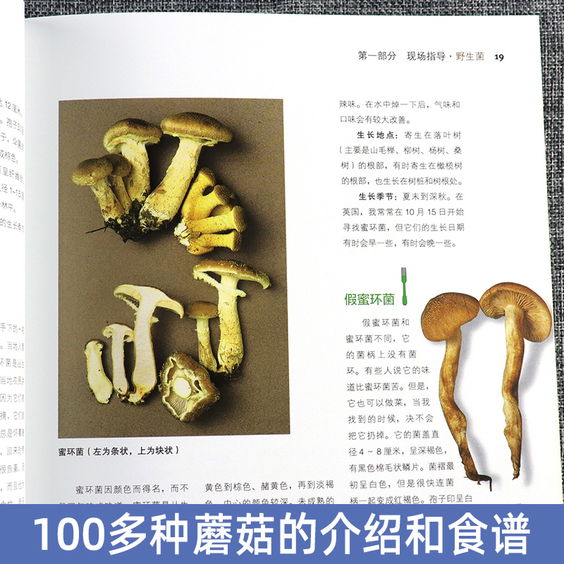 [正版] 蘑菇园 静静地寻找菌子 世界菌王意大利美食教父安东尼奥 菌鉴别 100多种菌类菜谱意大利面美食烹饪食谱书籍高清大图