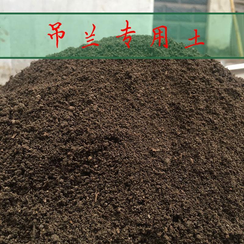 吊兰花土 花卉盆栽种植土 专用土 营养土 金边吊兰土壤 大包
