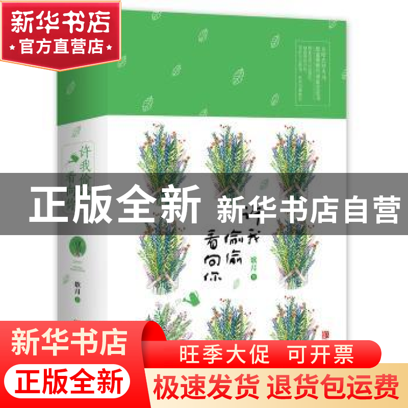 正版 许我偷偷看向你 歌月 青岛出版社 9787555248118 书籍