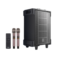 爱浪(AvliGHT) DX20-08 户外广场舞音响直播K歌拉杆移动便携一体式大功率音箱抖音快手网红 8吋