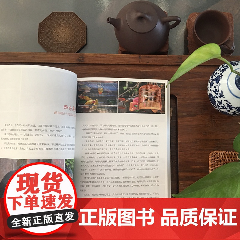 西安 这座城 藏羚羊旅行指南编辑部 著 旅游地图高清大图