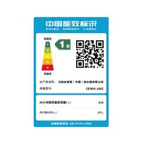 A.O.史密斯(A.O.Smith)60升电热水器 CEWH-60G 双驱速热 免清洗型 家用壁挂式热水器 雅金版