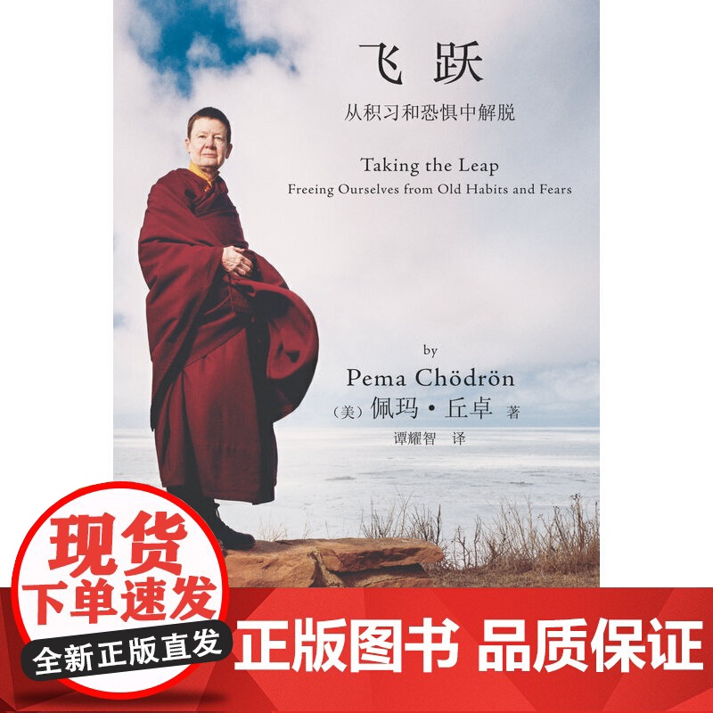 《飞跃:从积习和恐惧中解脱》广受西方世界尊崇的女性佛教导 佩玛丘卓 译者:谭耀智 深圳报业集团出版社 正版书籍高清大图